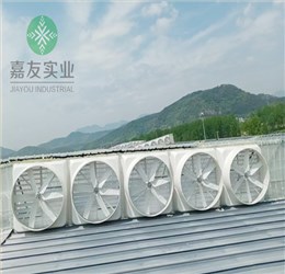 高德娱乐为祥和码头厂房安装玻璃钢负压风机