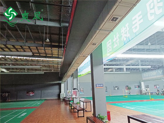 羽毛球馆环保空调 (2) 羽毛球馆环保空调 (2)