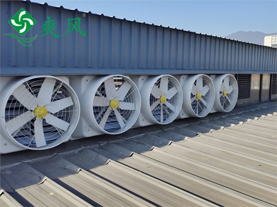 液压零部件车间玻璃钢负压风机通风降温 (9) 液压零部件车间玻璃钢负压风机通风降温 (9)