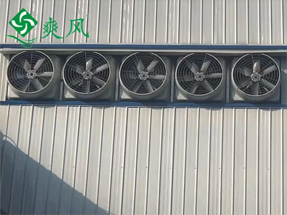 玻璃钢负压风机 (2) 玻璃钢负压风机 (2)