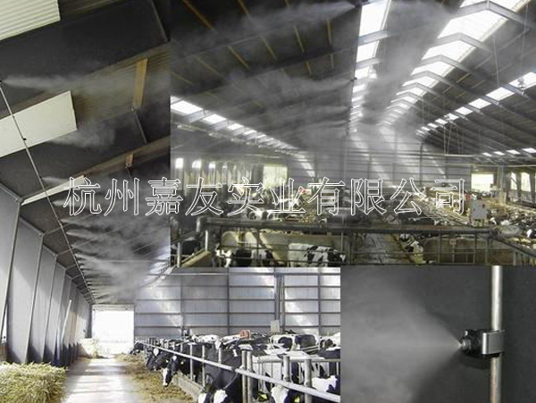 夏季,养猪场如何实现更好的降温? 夏季,养猪场如何实现更好的降温?