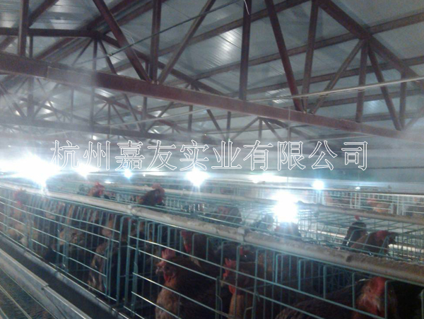 鸡棚喷雾降温方案 鸡棚喷雾降温方案