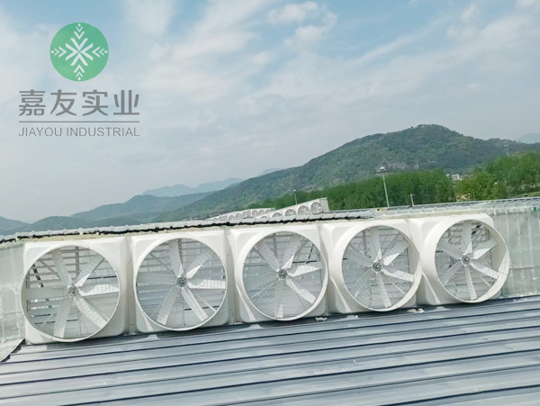 高德娱乐为祥和码头厂房安装玻璃钢负压风机