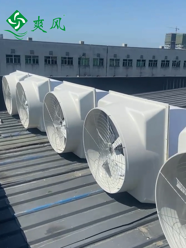 负压风机2 负压风机2