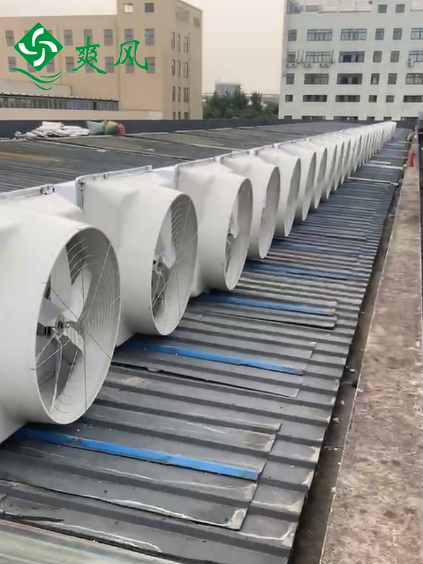 负压风机3 负压风机3