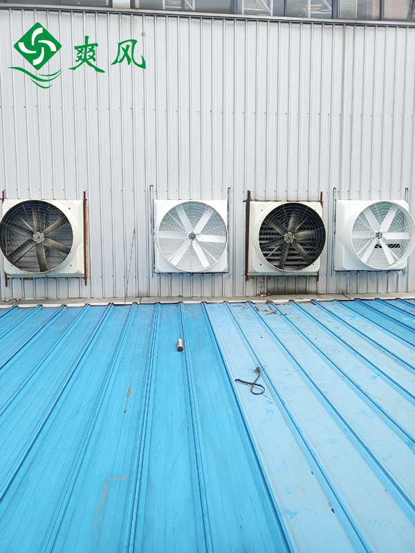 机械销轴车间负压风机通风降温 (4)