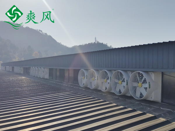 液压零部件车间玻璃钢负压风机通风降温 (6)