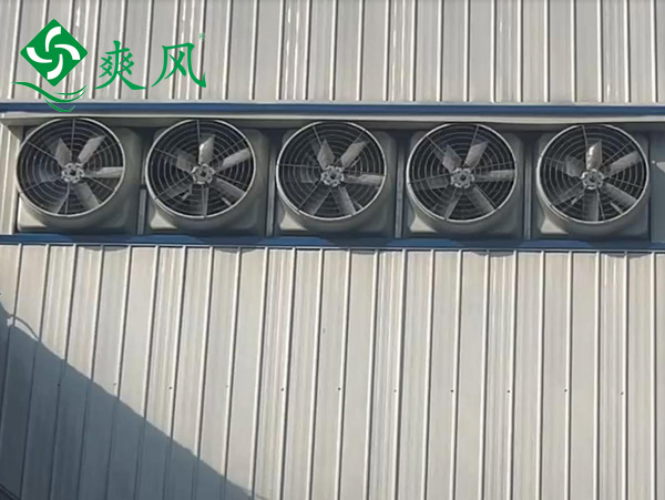 玻璃钢负压风机 (2) 玻璃钢负压风机 (2)